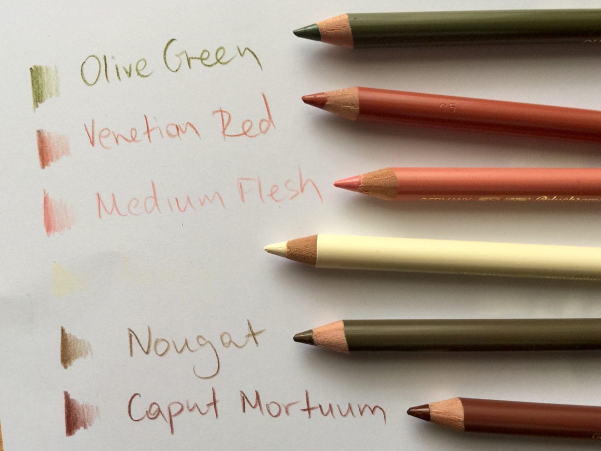 Skin Colored Pencils 